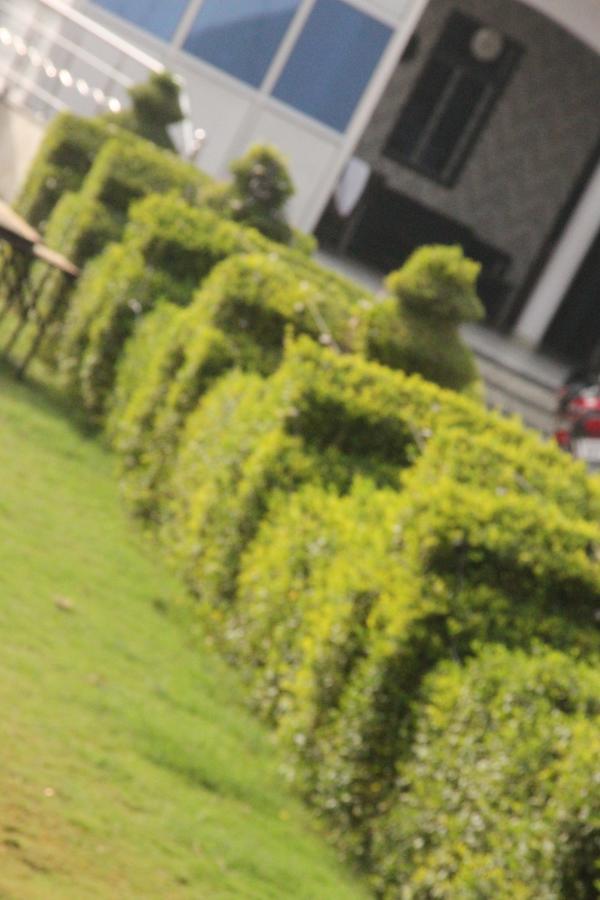 Hotel Vinayak Palace Mathura Exterior foto