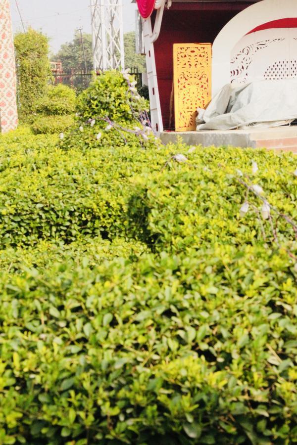 Hotel Vinayak Palace Mathura Exterior foto